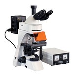 YG300荧光显微镜 博昊光学