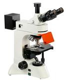 YG400荧光显微镜 博昊光学