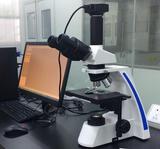 中药材生物偏光显微镜SW03A